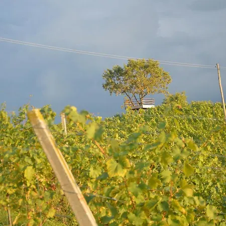 Hisa Sonca Toti Breg Svecina