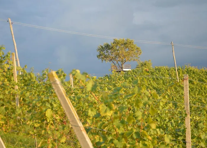 Hisa Sonca Toti Breg Svecina